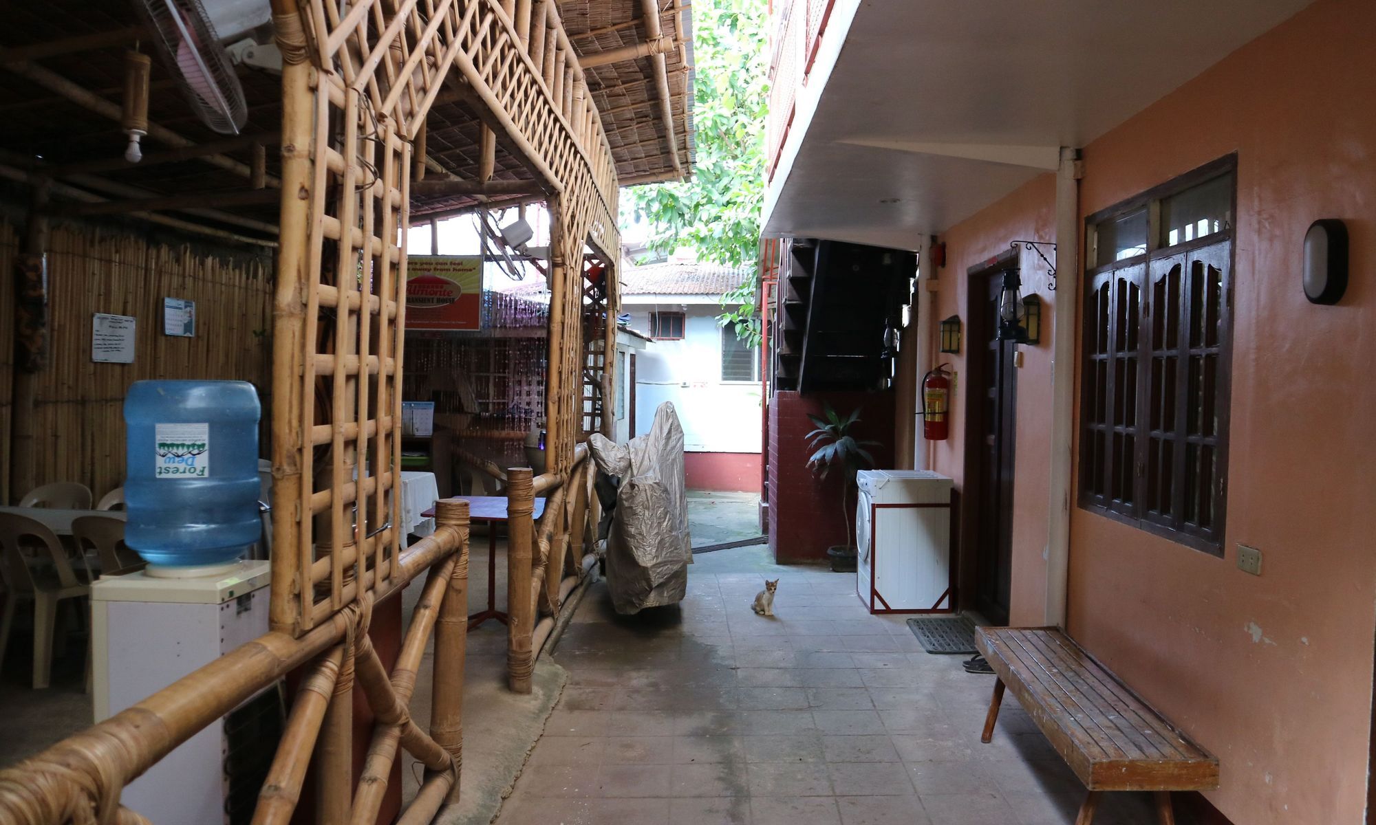 Almonte Transient Hostel Puerto Princesa Luaran gambar